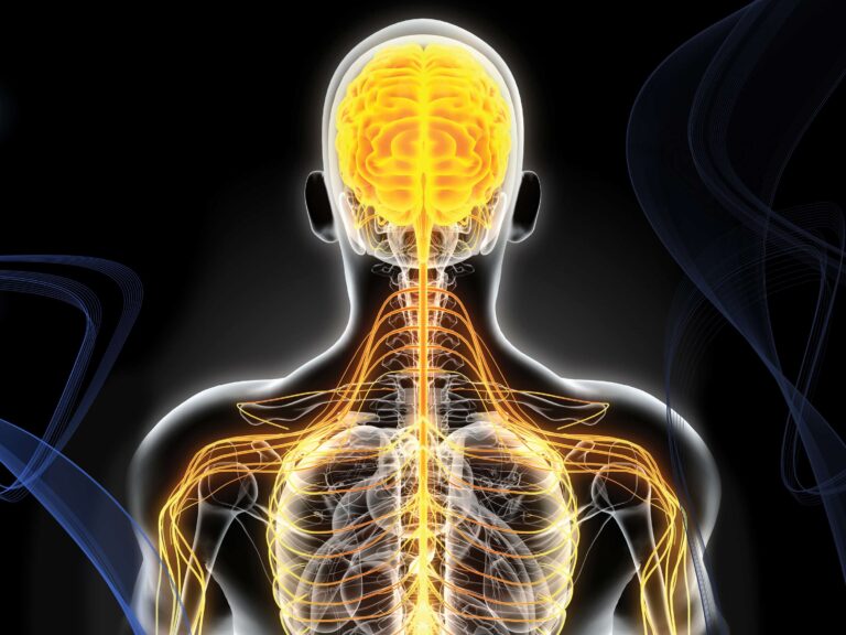 The Role of Neurological Surgeons in Avoiding Further Spinal Damage